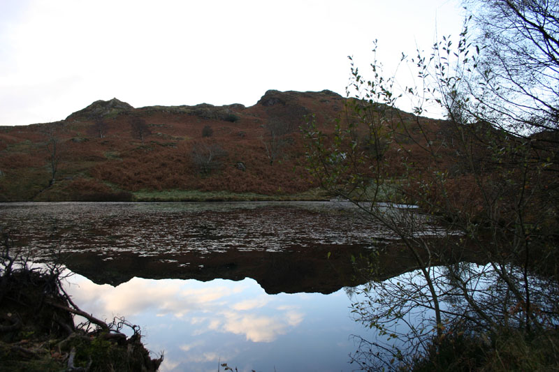 Holme Fell